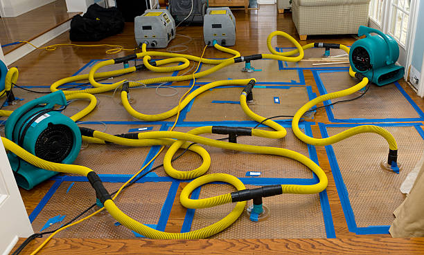Professional Water Extraction technician working in Bay Shore, NY